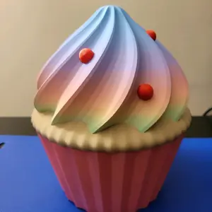 Whimsical Rainbow Swirl Cupcake Storage Box