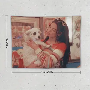 Dua Lipa Music Album Poster Tapestry - Horizontal Wall Hanging Decor with Vibrant Colors, Soft Terry Cloth Fabric, No Electricity Needed for Living Room & Bedroom - Perfect Gift for Fans (Pink), Music Wall Decor, Modern Home Accessory, Peach Light Beige T