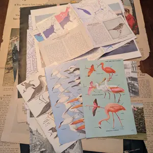 Junk Journal Mixed Media Vintage Ephemera Kit 2 Pounds