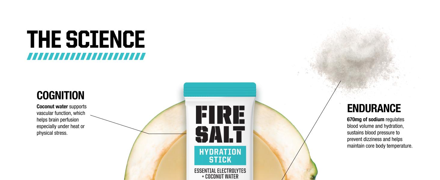 Fire Salt - Essential Hydration 16 Count
