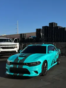 Honey Comb Racing Stripes Decals - Dodge Charger & Challenger Vinyl Graphics