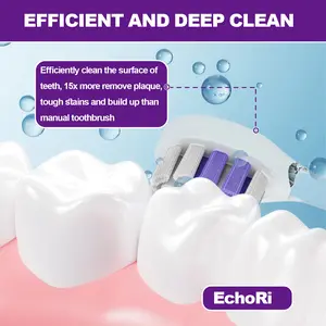 EchoRid Cleaner Tartar Send replaceable brush heads 。Ultrasonic Tooth Cleaner Teeth Dental Scaler Tartar Remover ，Ultrasonic comprehensive and effective cleaning, essential for gift giving, dental health, oral hygiene Cleansing Rechargeable gua sha EMS