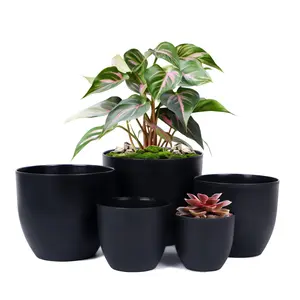 Plant Pots Indoor with Drainage - 7.5/6.7/5.9/4.7/3.9 Inches Flower Pots for Indoor Planter - 5 Pack Plastic Planters，Flower pots can be given as holiday gifts.