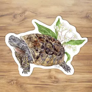 Gopher Tortoise Sticker Watercolor Illustration
