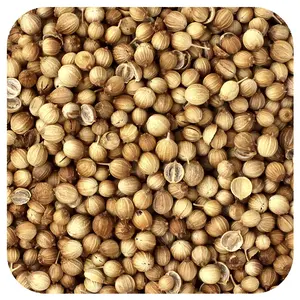 Starwest Botanicals Organic Coriander Seed, 1 lb (453.6 g)