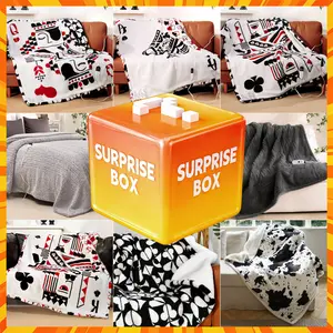 Electric Blanket Surprise Mystery Box | TikTok Shop  Winter & Fall Exclusive, Machine Washable, Timable, Fast Heating, 50*60in Remote