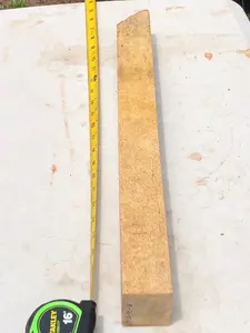 Ultra Curly Mango spindle/pool cue turning blank 14”x2”x1 7/8”