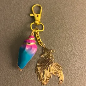 Simplicity sea shell for beach lovers
