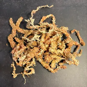 Reptile SoilMates’ 100% Organic Sphagnum Moss for Reptile Enclosures - Lush and Fluffy for Humid Hide or Substrate