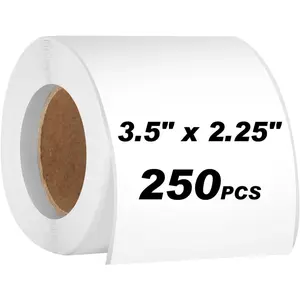250 count 3.5 x 2.25 Inch Blank Name Tag Stickers for Classroom, Removable Freezer Labels for Storage Bins Jars  Containers Box Easy Peel Off  Resistant No  Moving Labels to Write