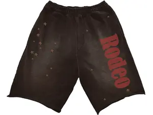 Cactus Jack x Sp5der Days Before Rodeo Shorts Brown