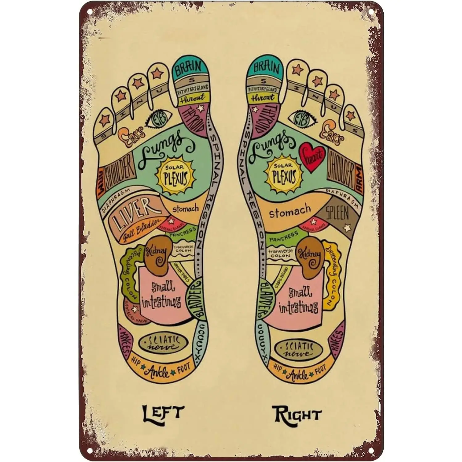 Vintage Metal Signs Foot Reflexology Chart Poster Massage Therapist Tin Sign Wall Art Decor Plaque for Home Office Club Studio Shop Living Room Bedroom Gift 8x12 inch