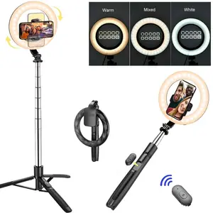 Cordless 8" Dimmable Ring Light with Adjustable Tripod Stand & Phone Holder Mount, Portable Selfie Stick with Remote, USB Rechargeable Fill Light LED Lighting for Studio Live Stream Makeup Tiktok YouTube Vlog Video Accessories Smartphone Cellphone