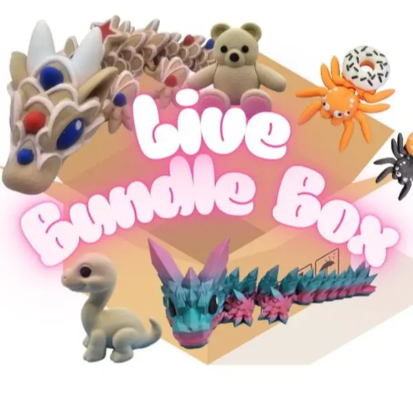 $20 LIVE Bundle Box of Figurines Decor Ornaments 3D Printed Items for Collectors