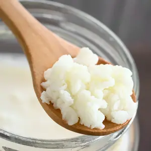 Artisanal Fermentation Starter