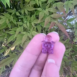 Squirtle poke fluorite mini crystal carving