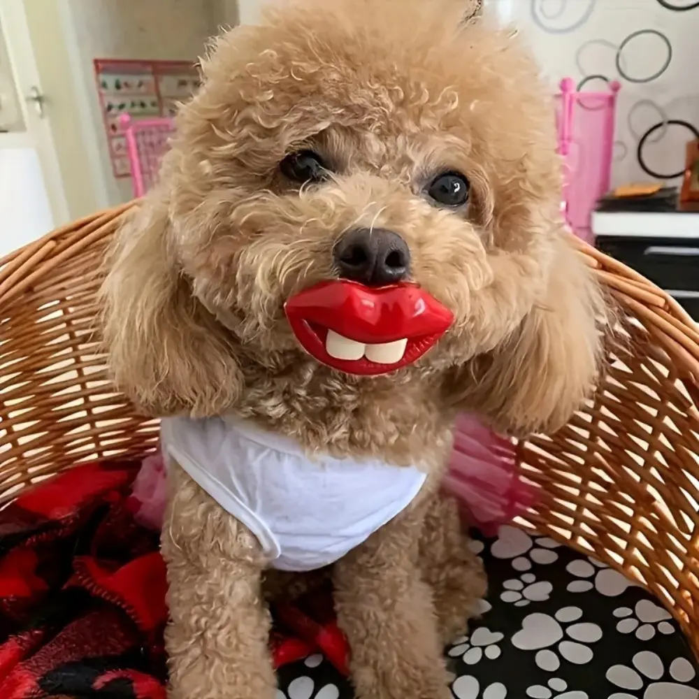 Durable Puppy Chew Toy, Pacifier Shape Dog Toy, Long-Lasting Pet Chewing Aid, Essential Dental Care for Puppies, Ideal for Teething Relief