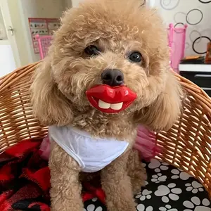 Durable Puppy Chew Toy, Pacifier Shape Dog Toy, Long-Lasting Pet Chewing Aid, Essential Dental Care for Puppies, Ideal for Teething Relief