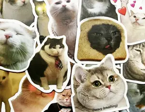 FREE GIFT 5pcs Random Sticker cat