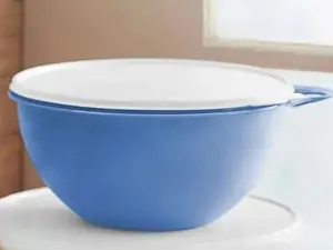 Thatsa Medium Bowl 19 cups with seal