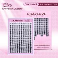 LASH-Lira (Only Lash Clusters)