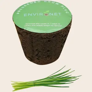 3" Preseeded Herb Seeds Starter Plug - Chives