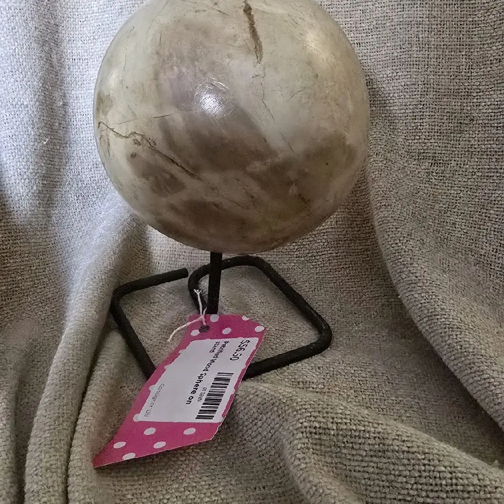 WRIGHT Petrified Wood Sphere on Stand - Natural Decorative Object