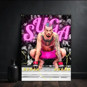 Sean O'Malley Poster, UFC MMA Show, Man Cave Dorm Art, Rolled Prints, Home Office Decoration, Poster Wall Decor