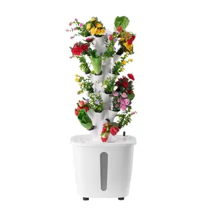 Hydroponic Growing System