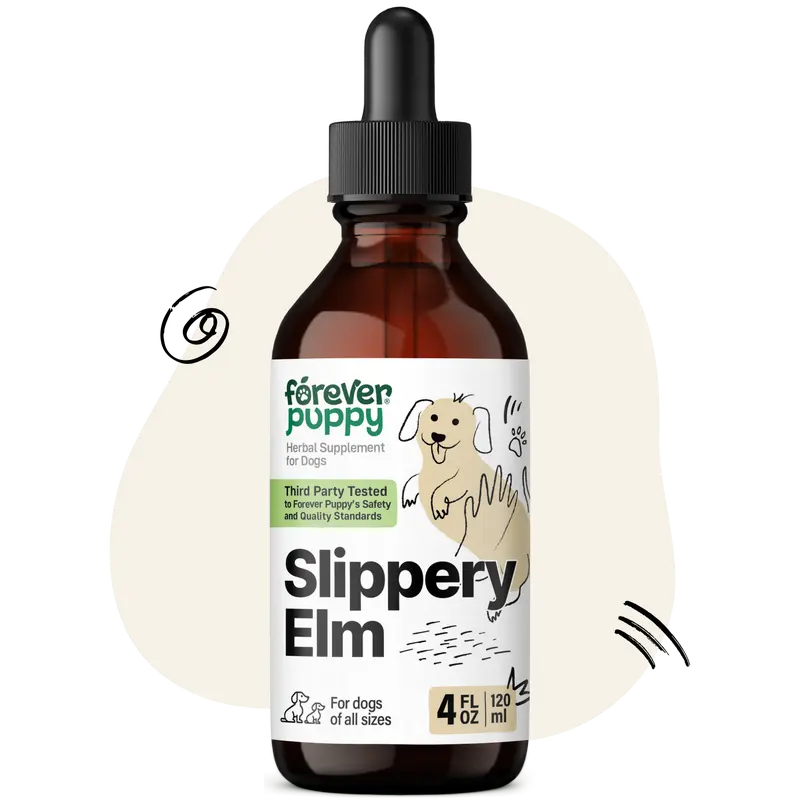 Slippery Elm Drops for Dogs - Gut Health Supplement with Slippery Elm Bark - Soluble Fiber Digestive Drops for Dogs - Liquid Vitamins and Supplements - Sugar & Alcohol-Free - 4 fl oz