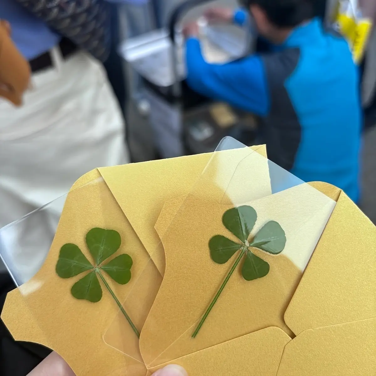 10 Lucky Four-Leaf Clover Postcards Set, Transparent Back, Natural Charm Amulet Cards, Custom Message Card for Birthdays and Weddings, Irish Style Decor with Bookmarks, Friend Birthday Card, Inspirational Card