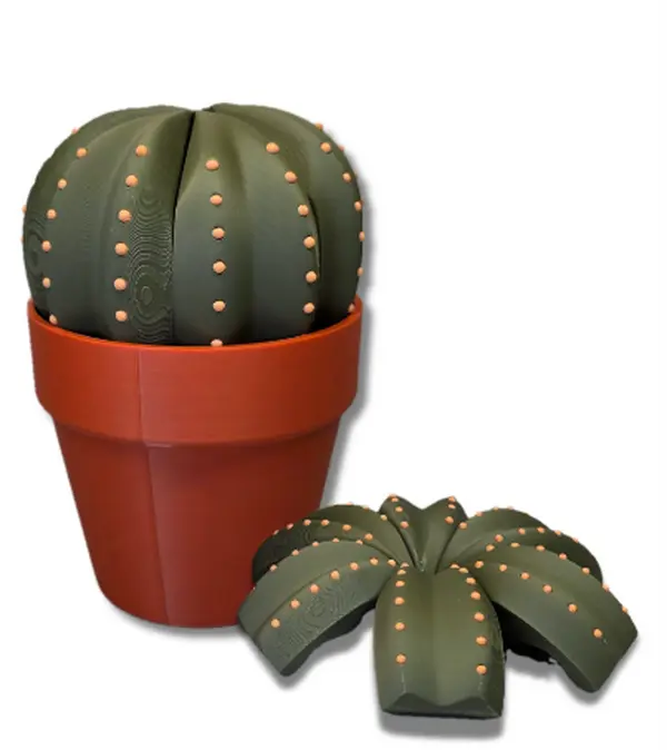 Smactus Cactus Coaster