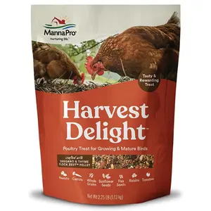 Harvest Delight Poultry Treat - Whole Grain & Seed Mix with Fruits & Vegetables - 14% Protein Snack for Chickens Ducks & Mixed Flocks - 2.25 lb Bag