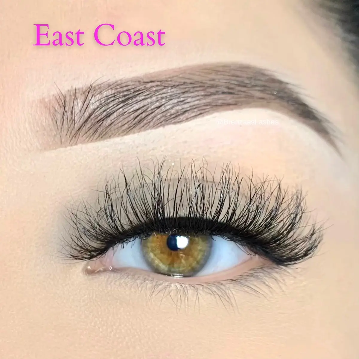 East Coast Lashes East Coast Lashes