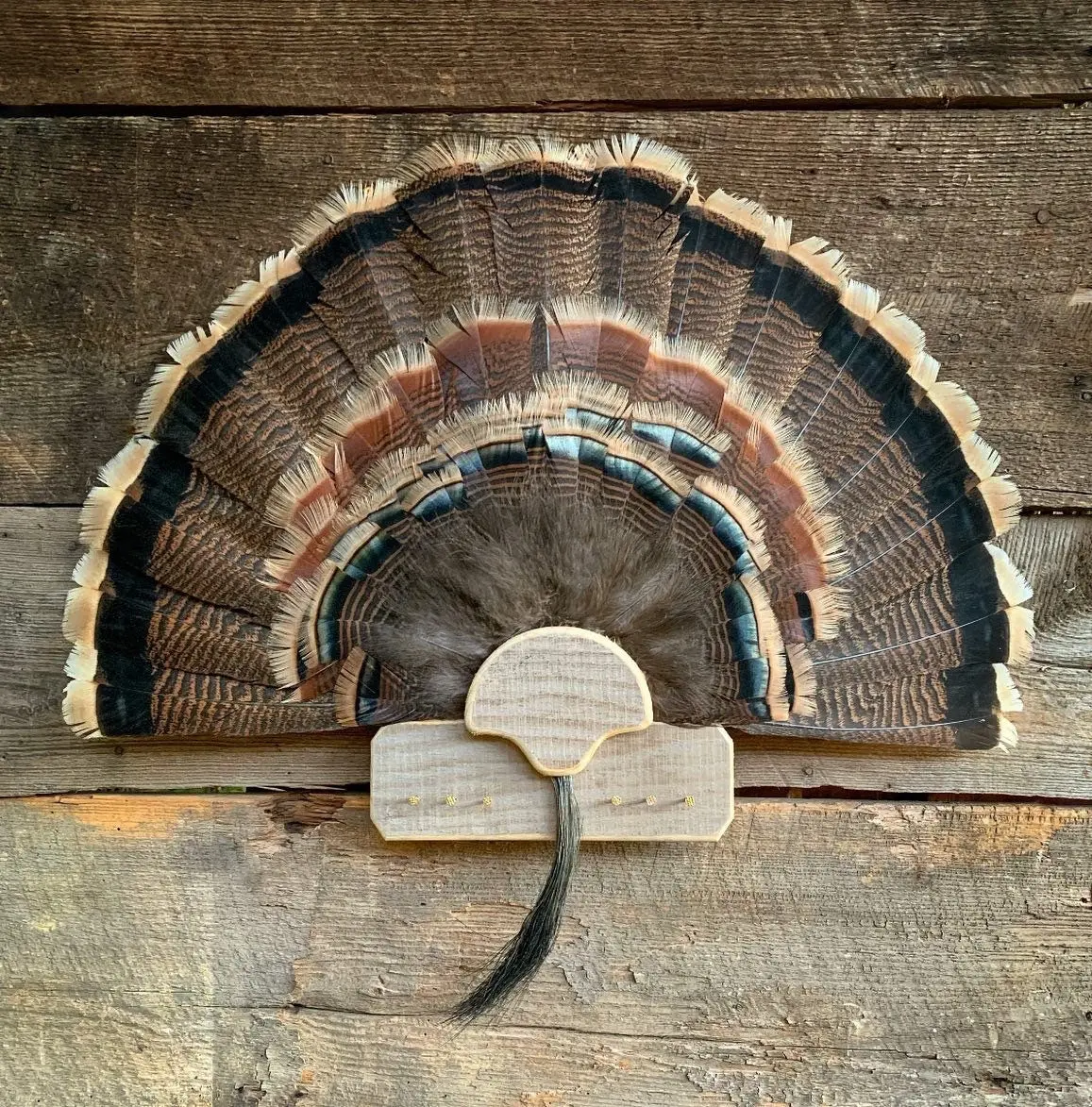 6 Beard Holder