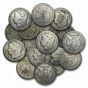 Random Year Morgan Dollar