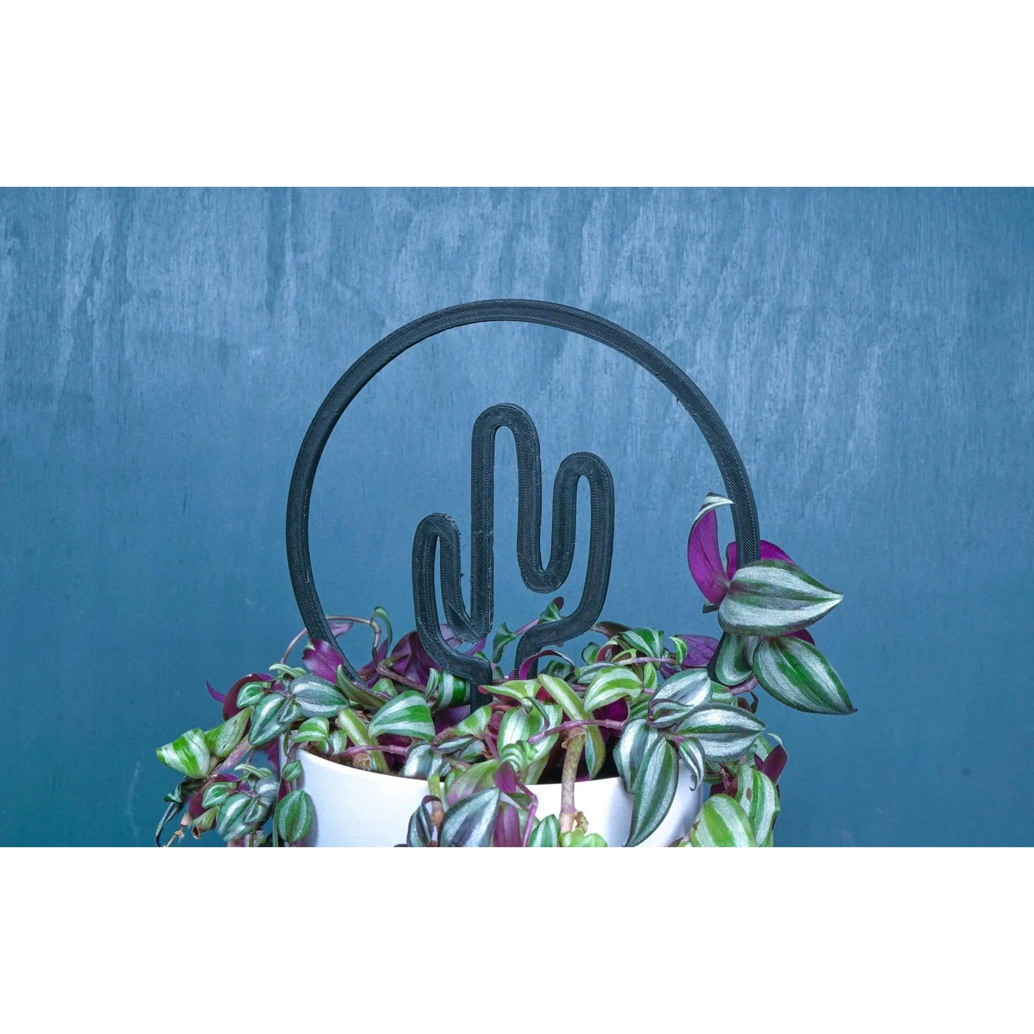 Cactus Trellis, Stem Support, Plant Decor