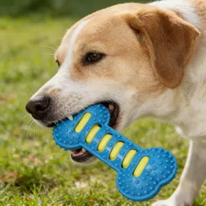 Stop Your Dog from Destroying Everything – Squeaky Chew Toy for Aggressive Chewers
