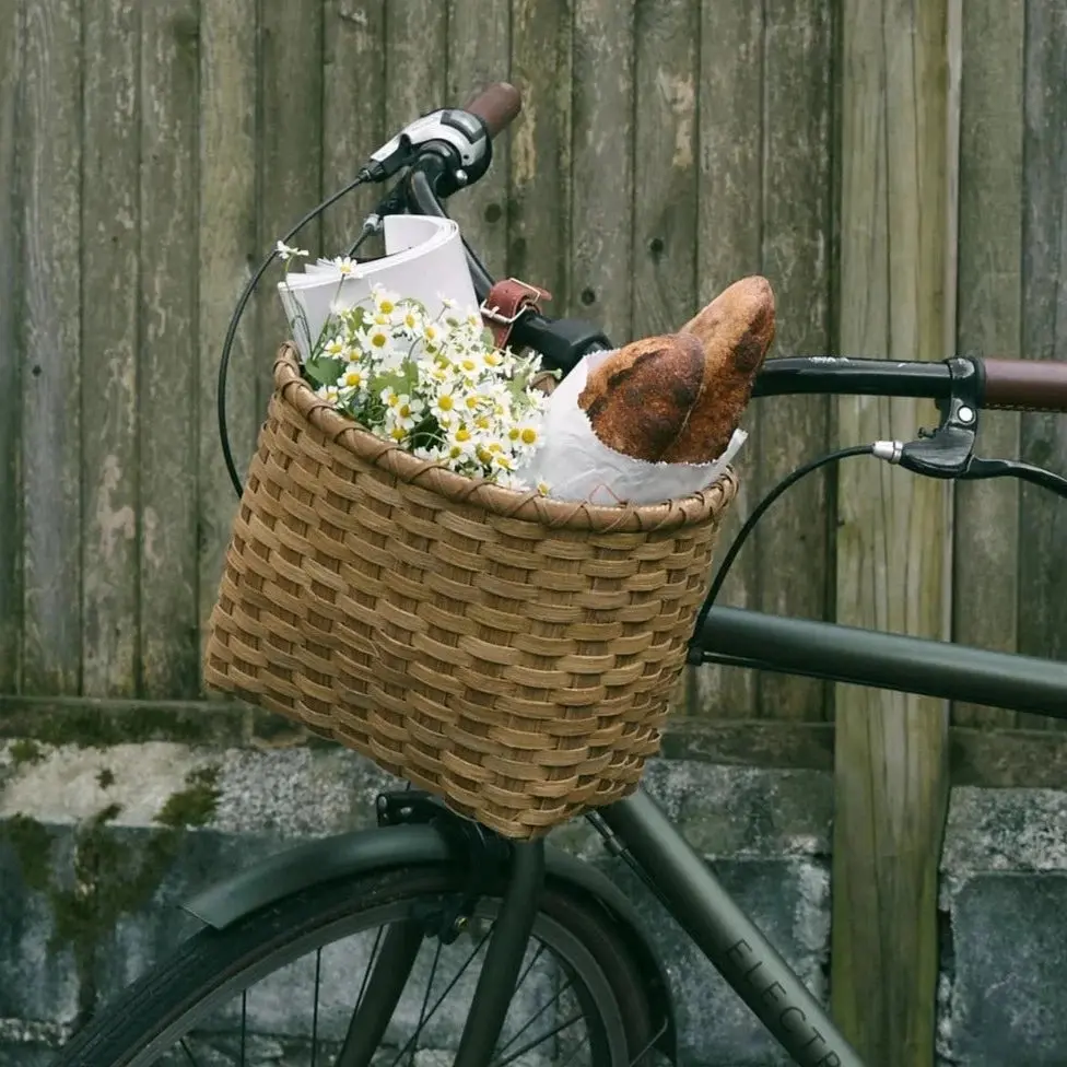 Seaside Bike Basket
