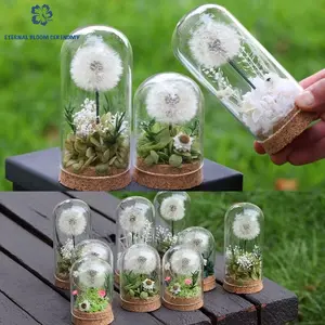 Preserved Dandelion in Glass Dome, Nature-Inspired Minimalist Decorative Flower & Plant, Medium Style 1 Ins-Style Romantic Home Decor for Multiple Rooms, Ideal Gift, Plants