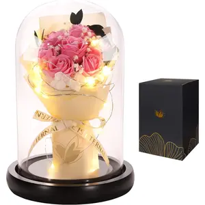 Mothers Day Flower Gifts for Mom,Beauty and The Beast Rose in Glass Dome,Pink Roses,Forever  Bouquets Anniversary,Birthday Gifts for Women Mom Wife Girlfriend