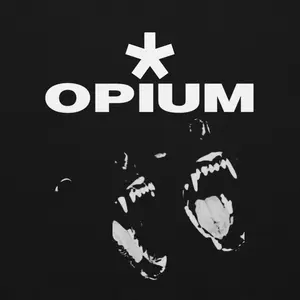 Y2k Streetwear Hoodie, Opium Hoodie, Gothic Clothes, Ken Carson, Alt Clothing, y2k opium, Pump Cover, Dark Edgy Gothic Aesthetic, Unisex