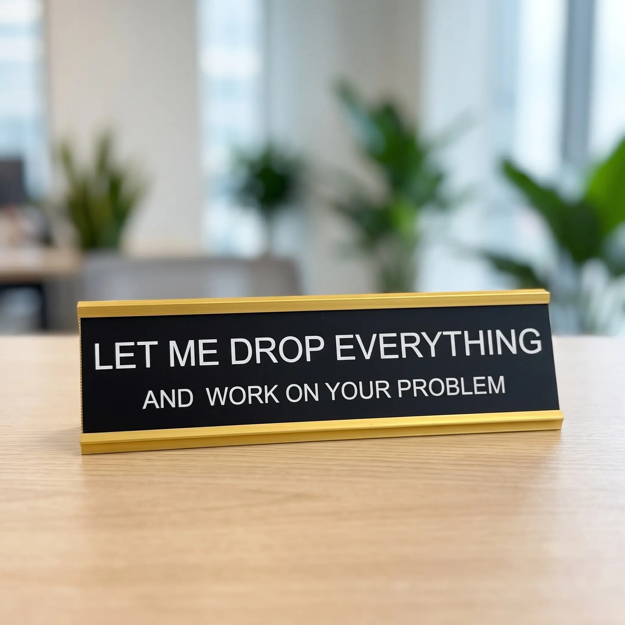 Funny "Let Me Drop Everything" Desk Nameplate Sign - Sarcastic Office Decor, Coworker Gift Desk Sign Set, Signs