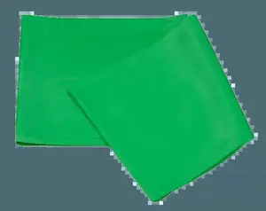 Physical Resistance Bands (4 Feet Length)