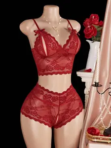 Lingerie Two-Piece Set: Sexy Three-Part Laced Netted Bra and Panty Set Womenswear