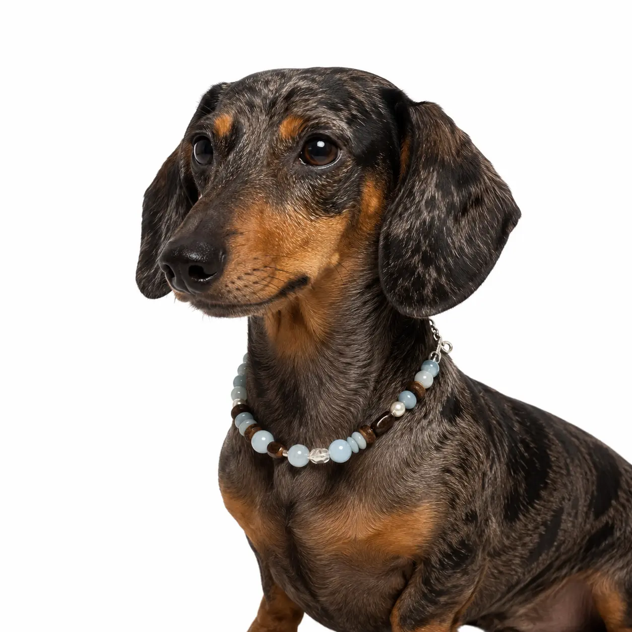 Ocean Drift - Necklace for pet