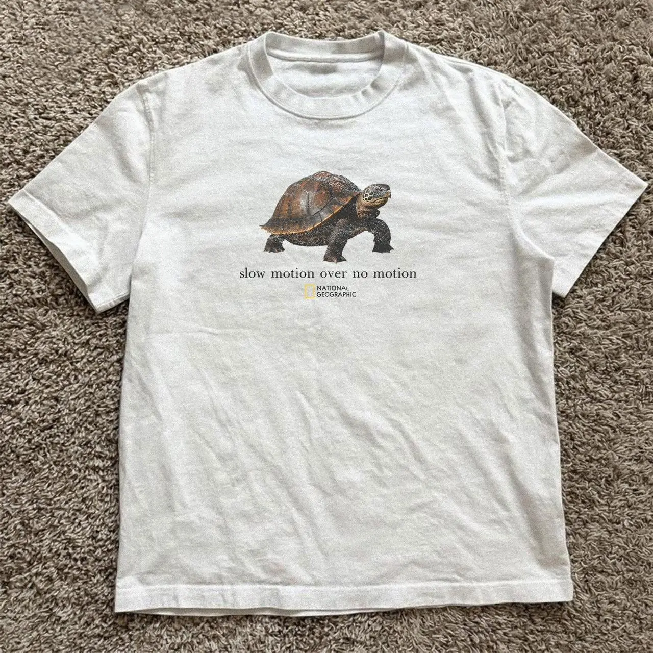 Gildan Men's and Women's T-shirt, National Geographic turtle “slow motion over no motion” tee, Animal tee, Y2k Unisex Graphic Tees Gothic Grunge Emo Scene Amity Affliction Style Clothes Menswear Womenswear Streetwear