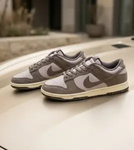 Nike Dunk Low SE Platinum Violet Cave Stone FQ8249-001 Mens Fashion Sneakers New