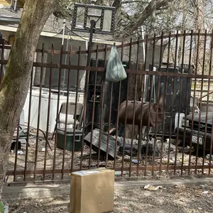 48 Egg Incubator for Hatching Eggs,Automatic Egg Turning and Humidity Control, with Automatic Water Serving,360° View Poultry Incubator for Hatching Chicken Duck Quail Parrot