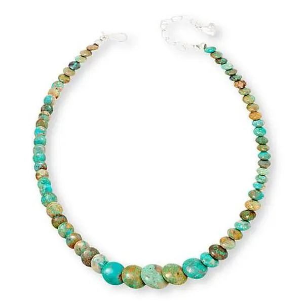 Mine Finds by Jay King Sterling Silver Sacred Cloud Mtn. Turquoise 18" Necklace